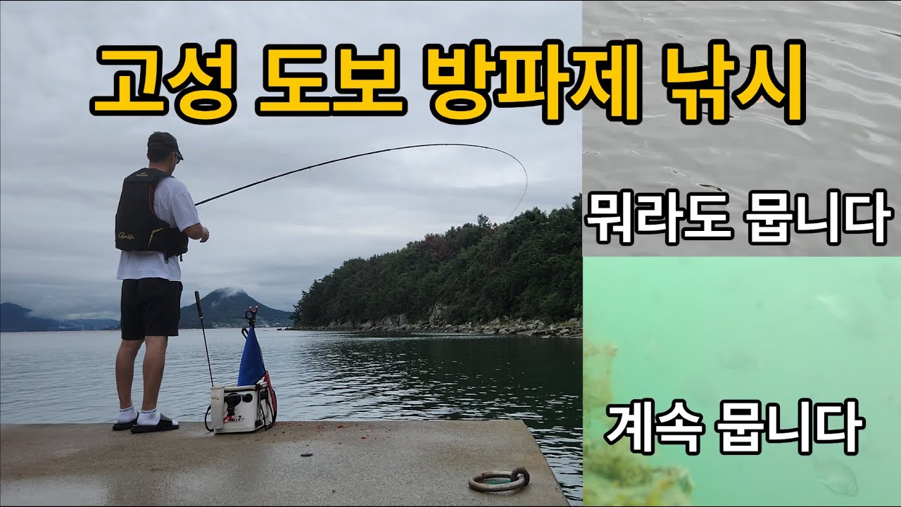 고성 내만 도보 방파제 포인트 감성돔 등 생활낚시 여기 좋네요