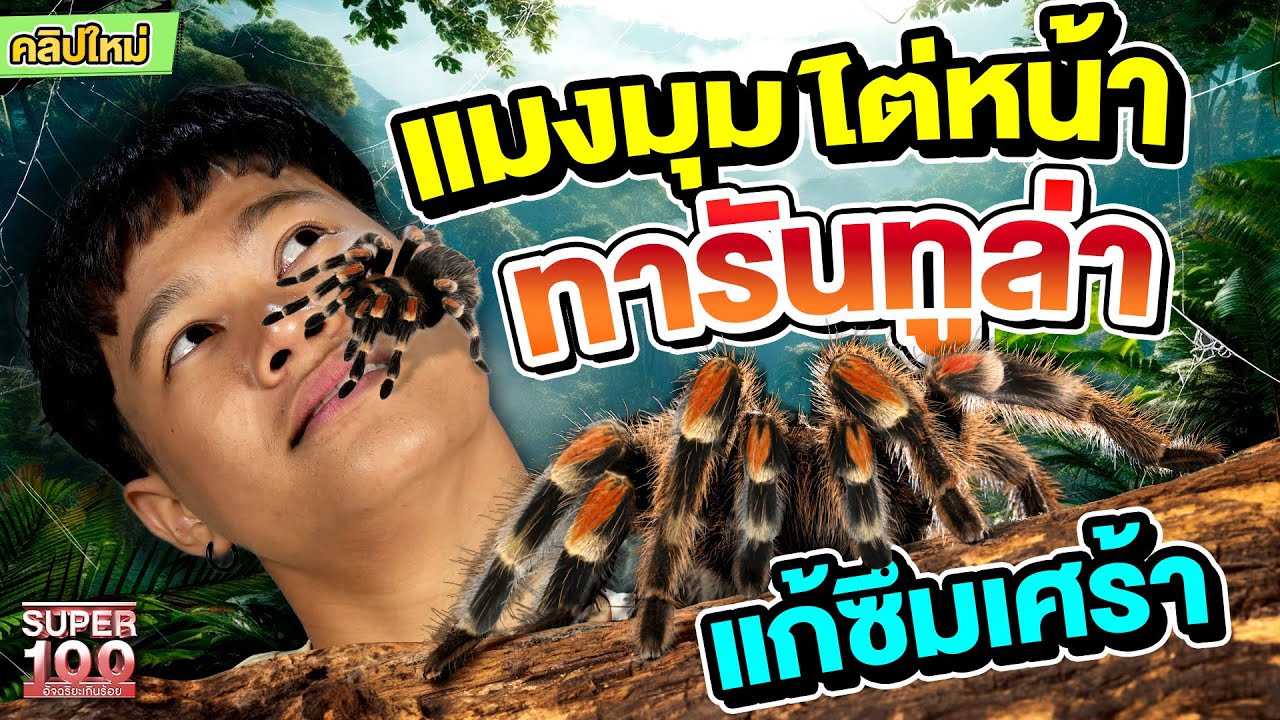 ทารันทูล่าไต่หน้า !! #โจเซฟ สัตว์แปลกแก้ซึมเศร้า | SUPER100