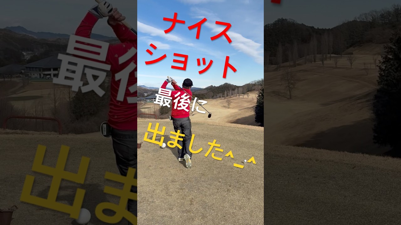 たまには飛びます