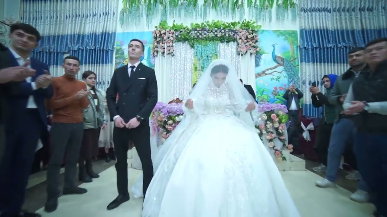 Nikox toy Jonli efer