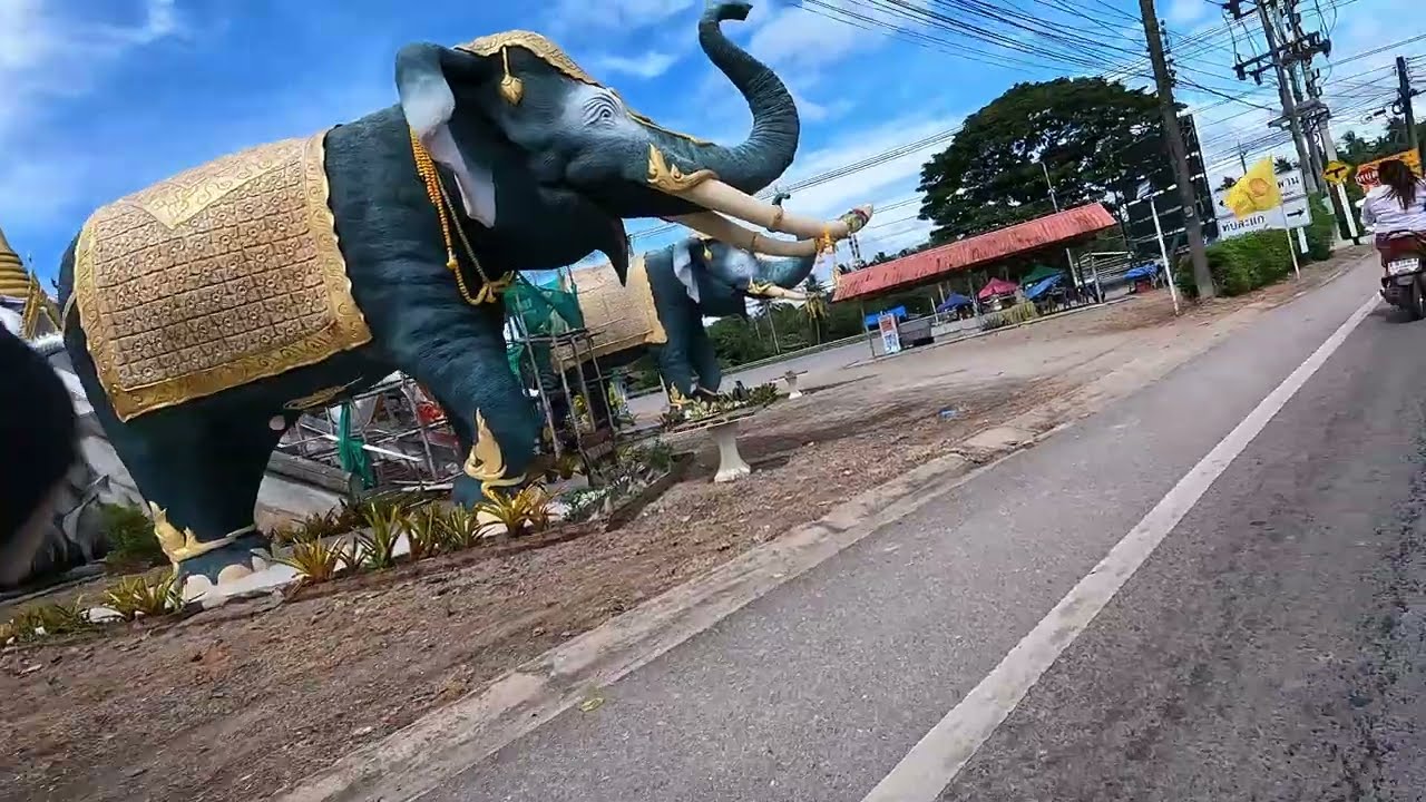 Cycling Through Thailand on a Sunny Day | Roads & Tropical Vibes [part 5]