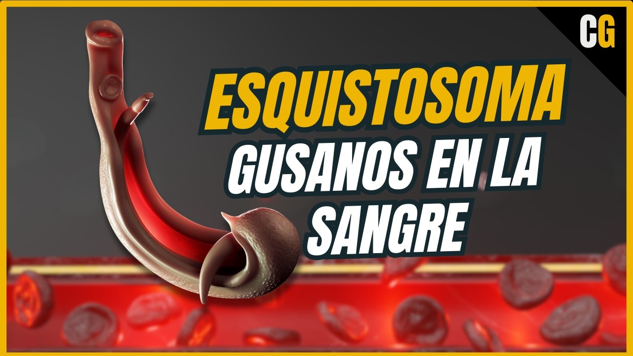 Gusanos en Las Venas - La Esquistosomiasis EXPLICADA