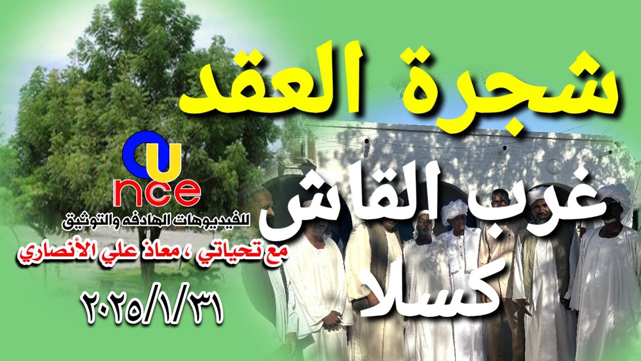 شجرة العقد ، تقع في مدينة كسلا في وسط سوق غرب القاش ، يتم فيها عقد الزيجات.