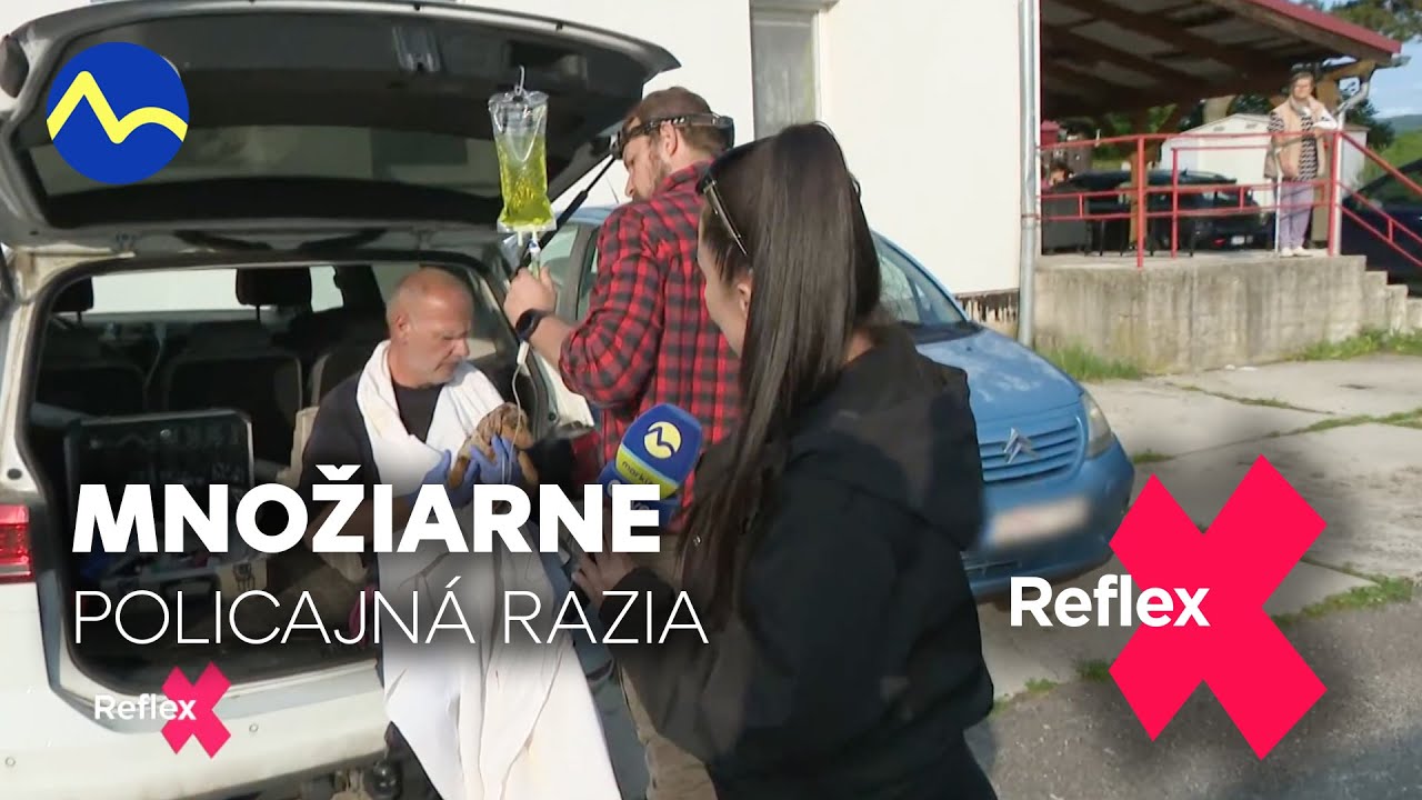 Množiarne a veľká razia #1 - Kristína Kövešová | Reflex