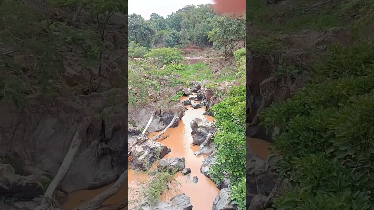 Camino rumbo a Villegas y Copal colorado 