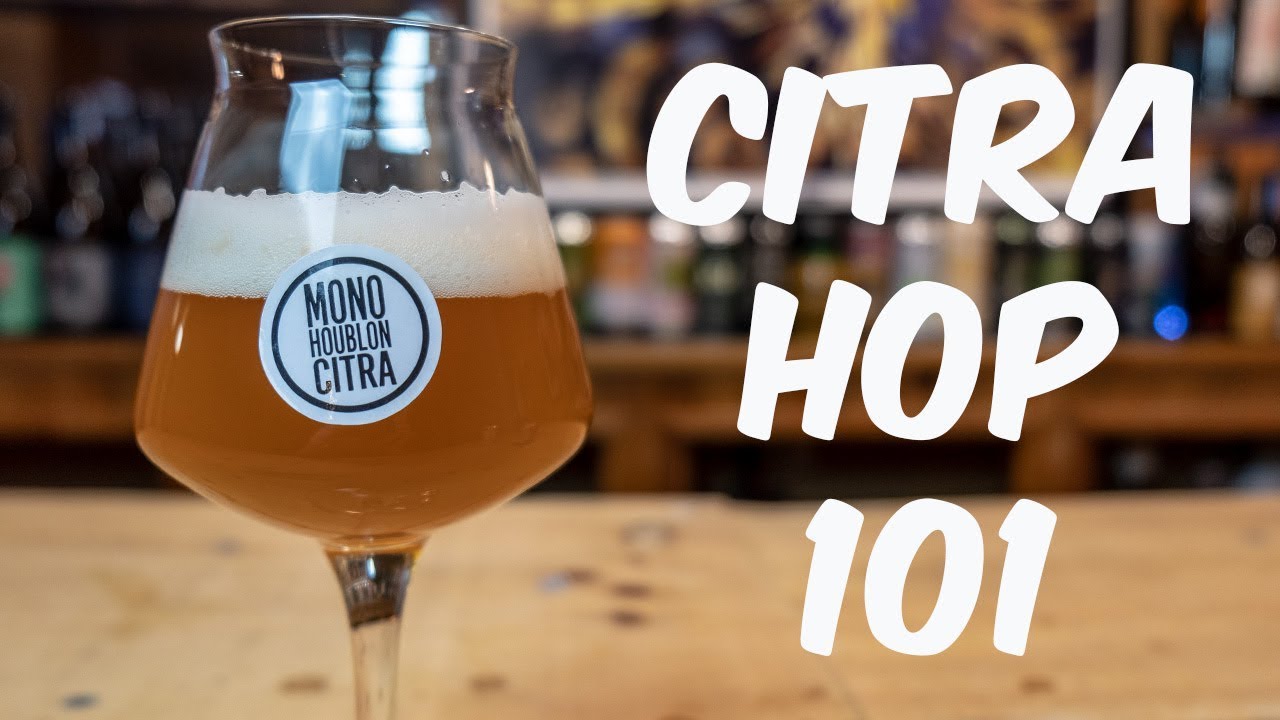 What are Citra Hops?