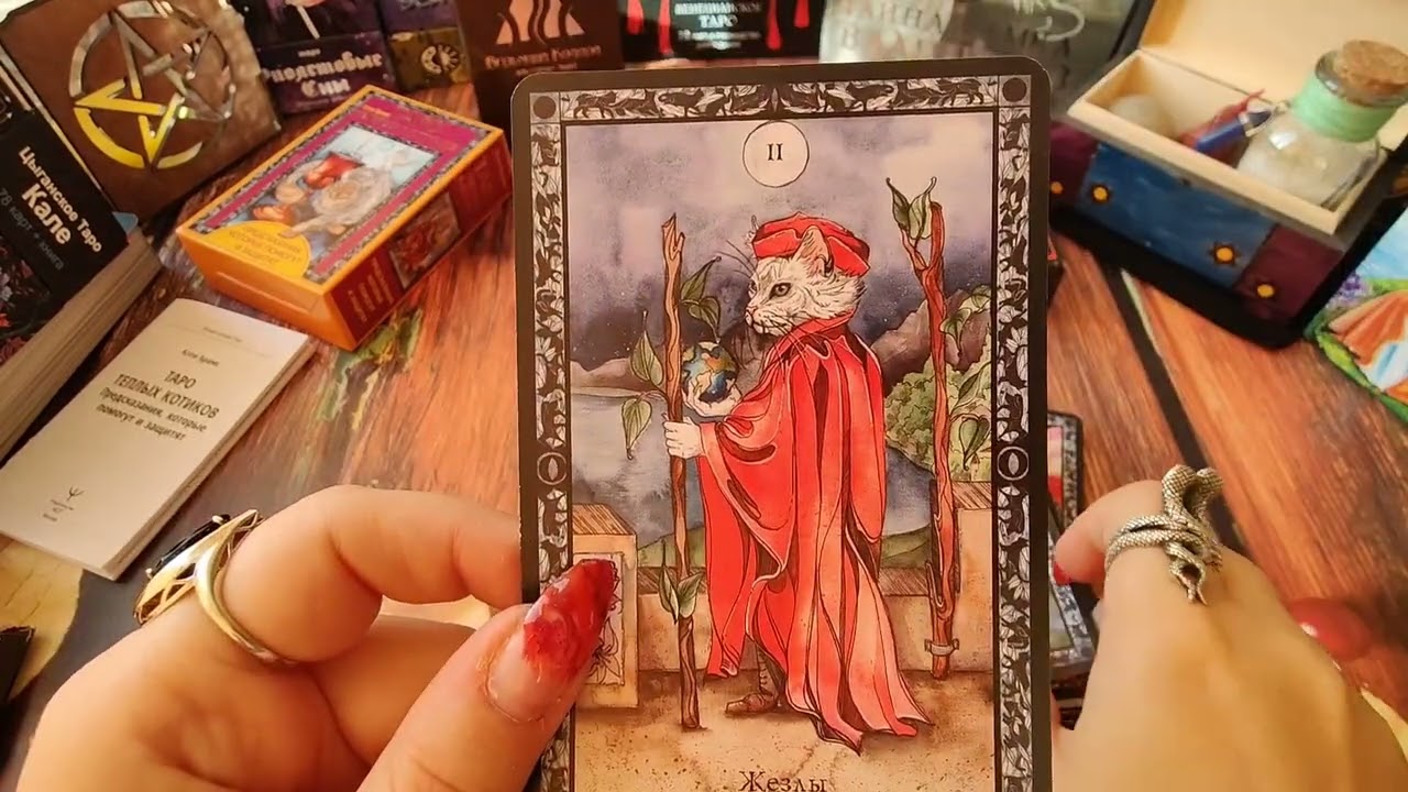 Обзор на таро двух колод. Таро теплых котиков. Колдовское таро.