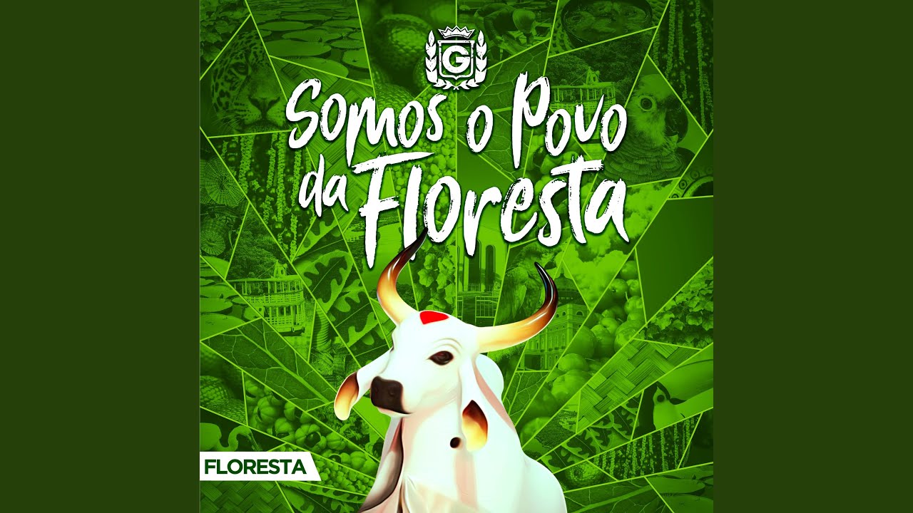 O-Baiá