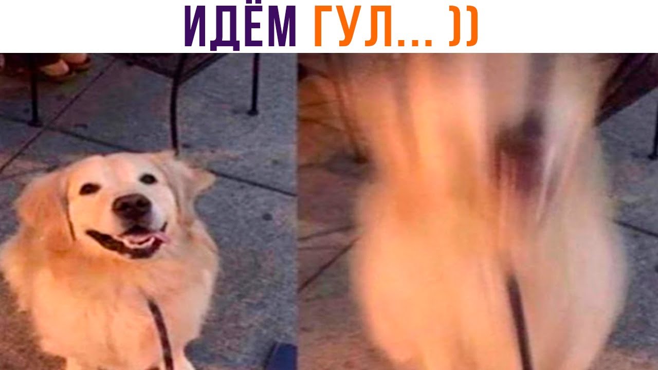 НИ СЛОВА БОЛЬШЕ! ))) | Приколы | Мемозг 1261