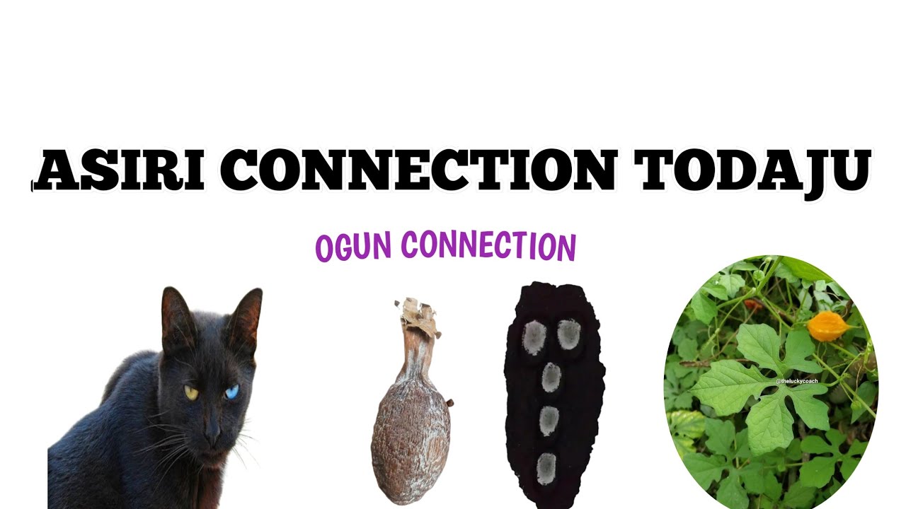 ASIRI CONNECTION TODAJU