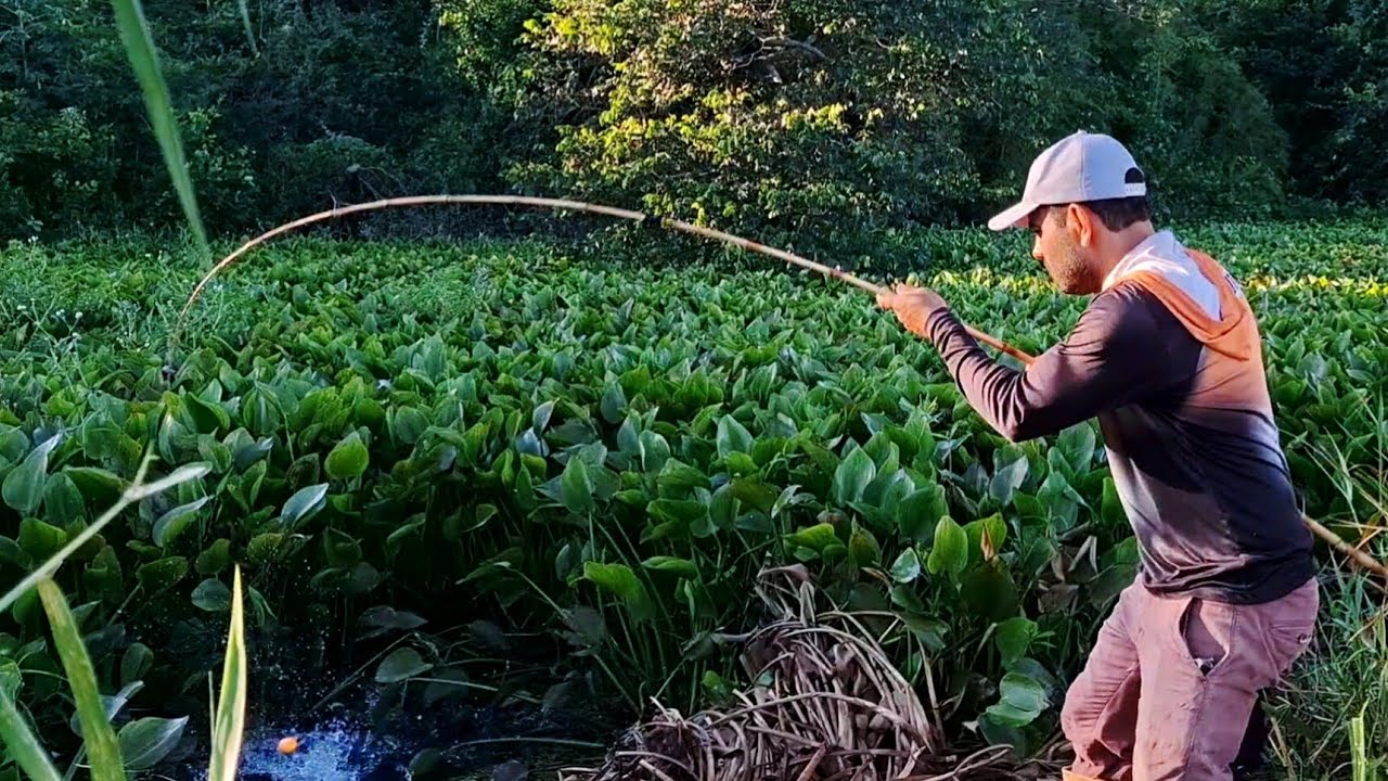 PESCARIA , ESSE PONTO DO RIO N&Atilde;O FALHA , A GENTE SEMPRE PEGA PEIXE BRUTO./PESCARIA RAIZ .