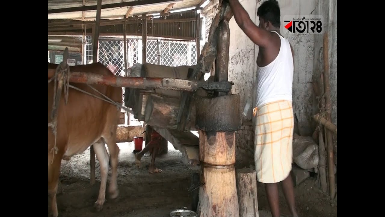 ঘানি ভাঙা খাঁটি সরিষার তেলের খোঁজে...  -বার্তা২৪