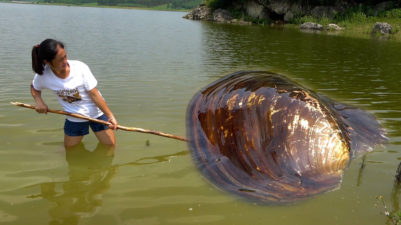 No one has ever been here before, the pearl clam is really big enough