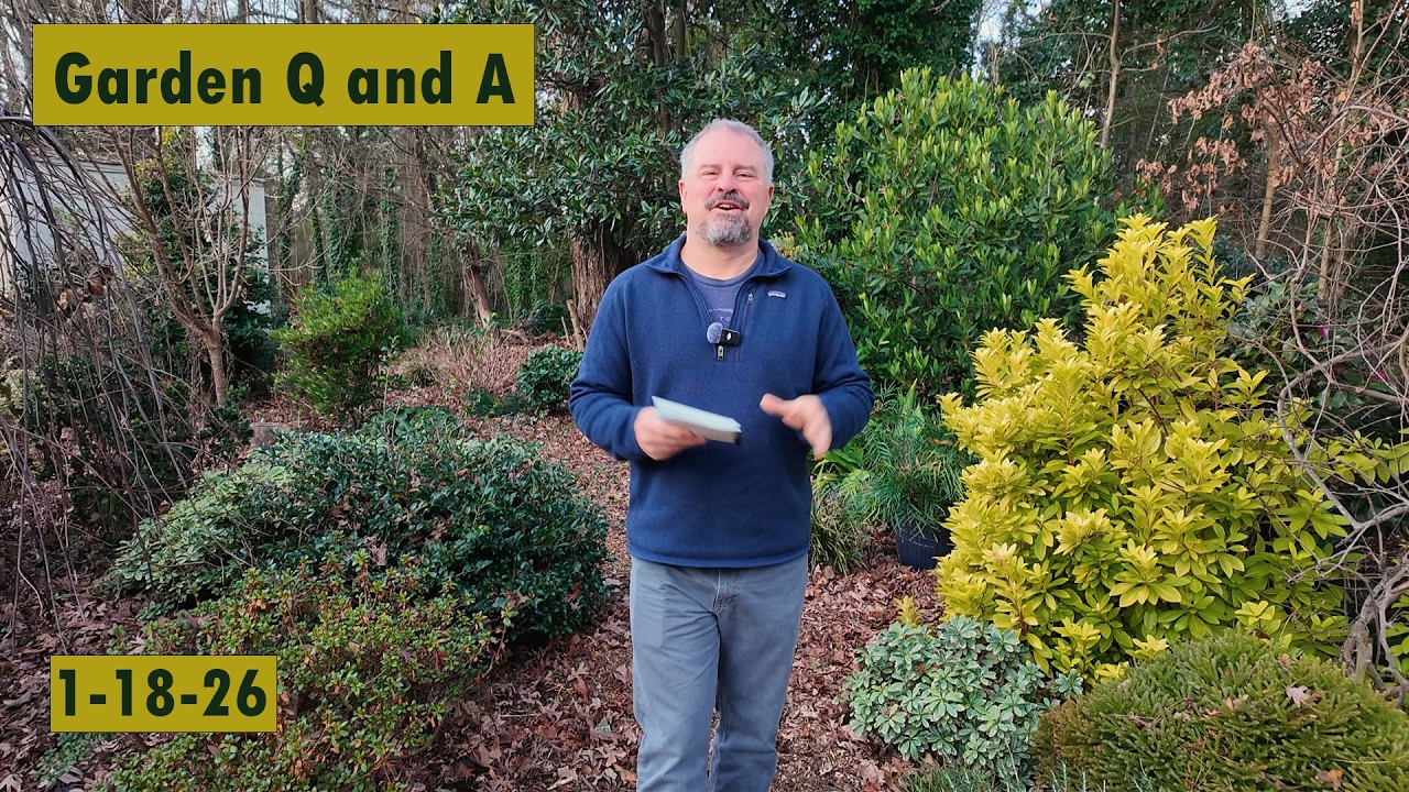 Sunday Garden Q&A: What to Prune, When to Fertilize & How to Water in Winter