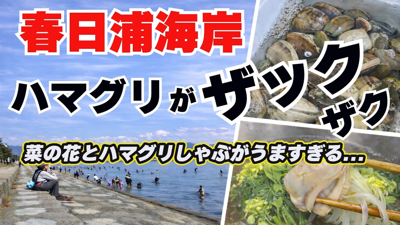 Vol.165【潮干狩り】春日浦海岸で潮干狩り！ハマシャブが美味すぎる