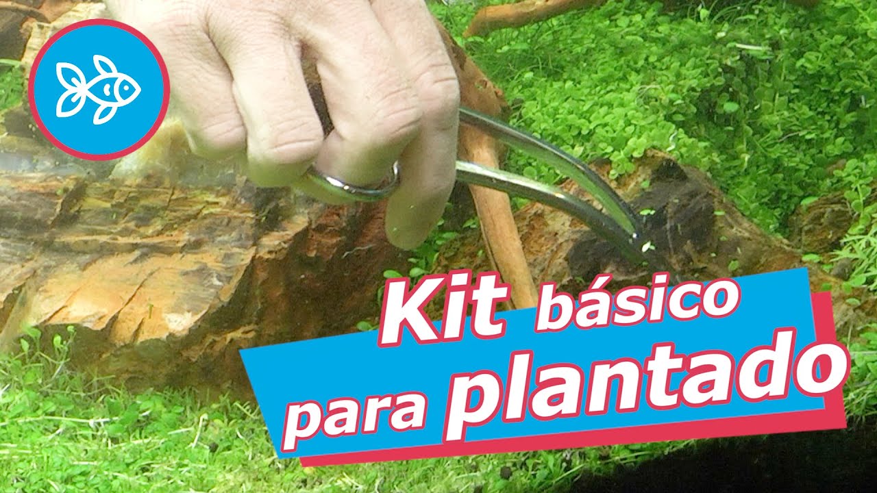 KIT b&aacute;sico para PLANTADO &middot; Equipamiento de ACUARIO 🌿