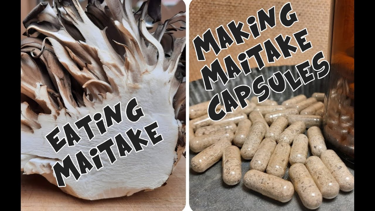 Maitake Mushrooms to Capsules: DIY Maitake Capsules Cheaper than Store Bought!
