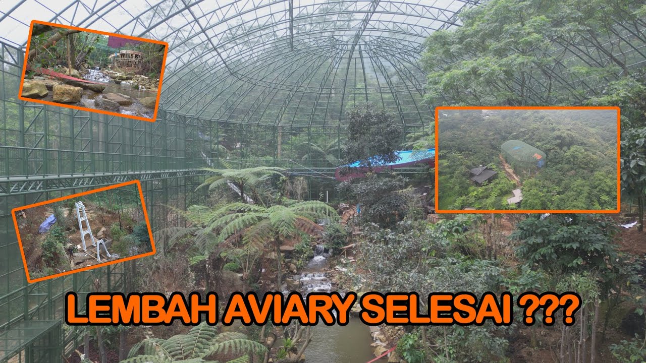 KONSTRUKSI LEMBAH AVIARY SELESAI, TINGGAL LANDSCAPE BY H. ASHARI #21 || BAGONG AVIARY PROJECT