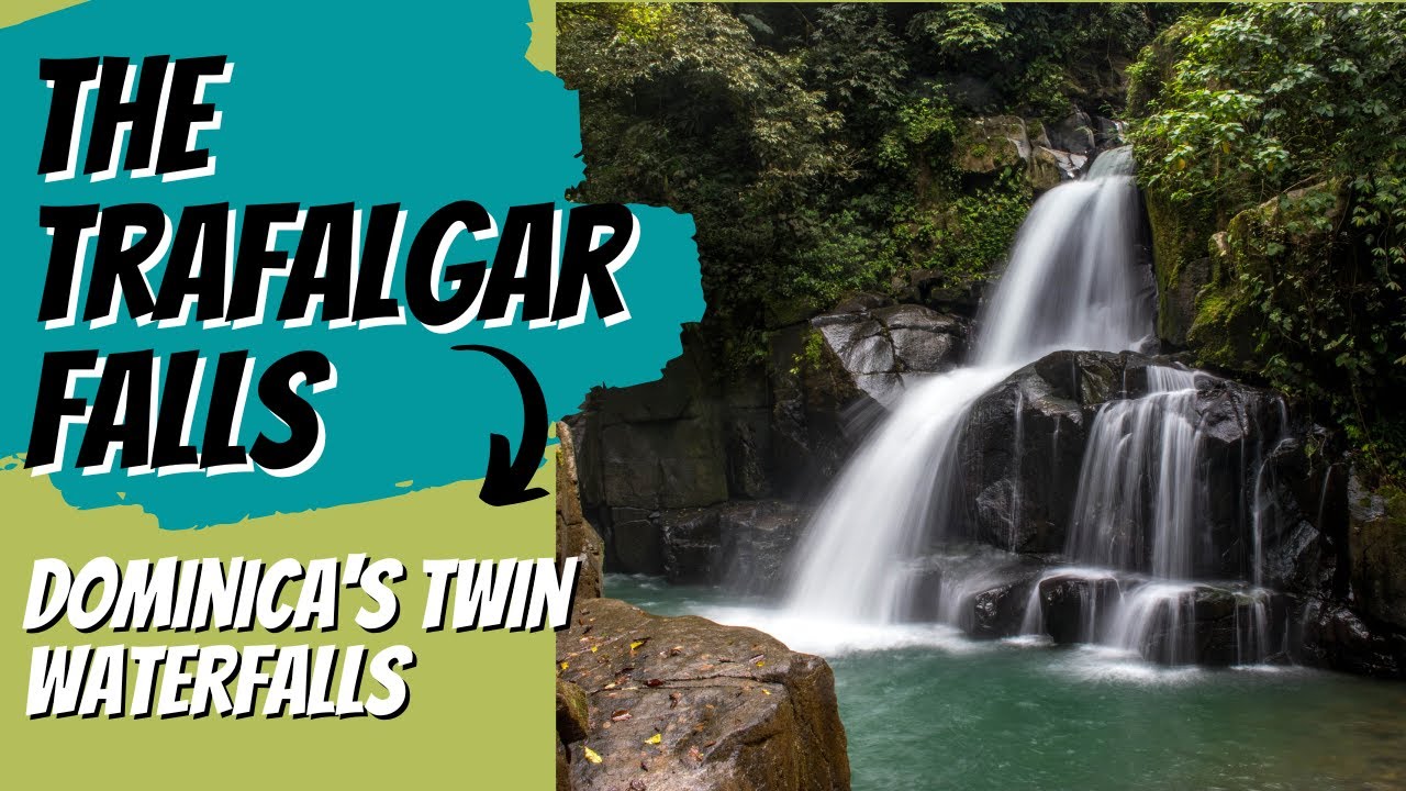 Unveiling the Secrets of Trafalgar Falls: Our Journey Through Dominica's Hidden Gem