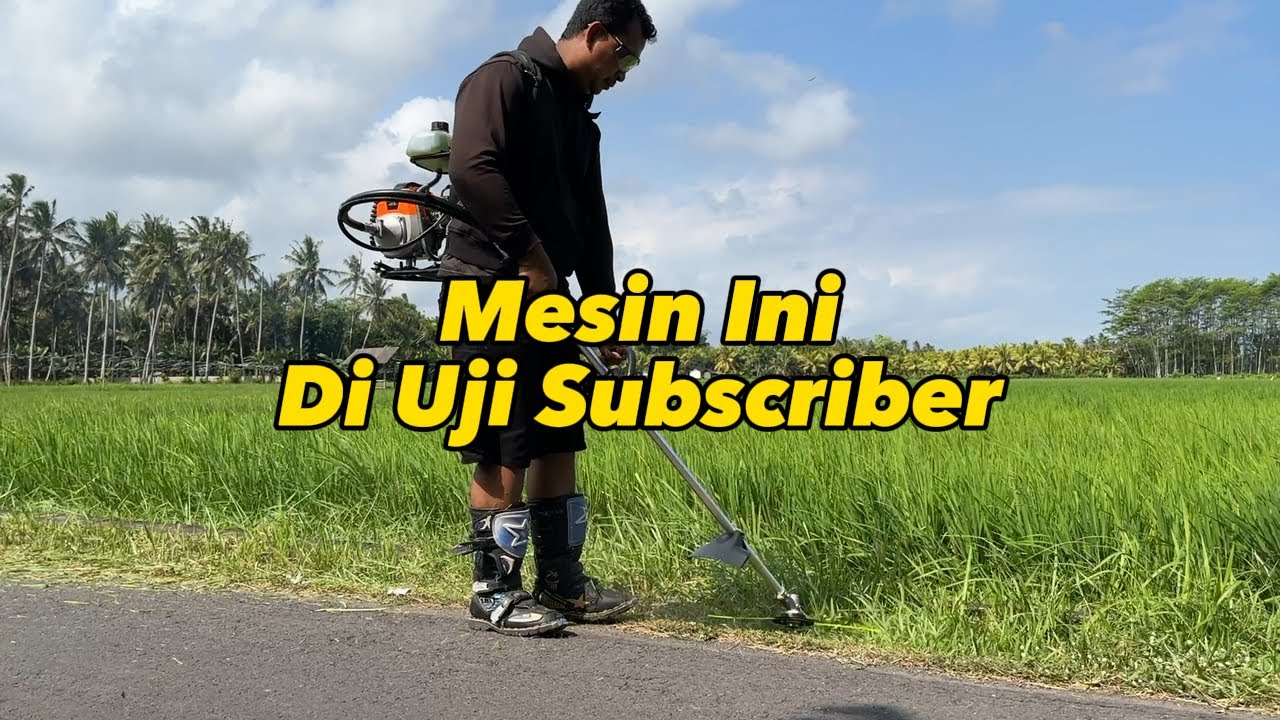 Kedatangan Subscriber !! penasaran dan langsung mencoba mesin rumput 52CC