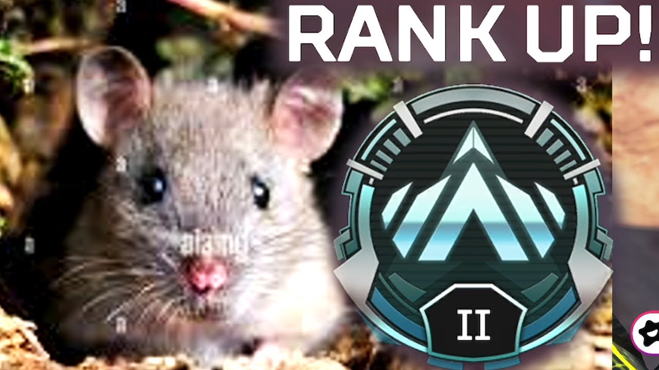 The PLAT RAT | Apex Legends