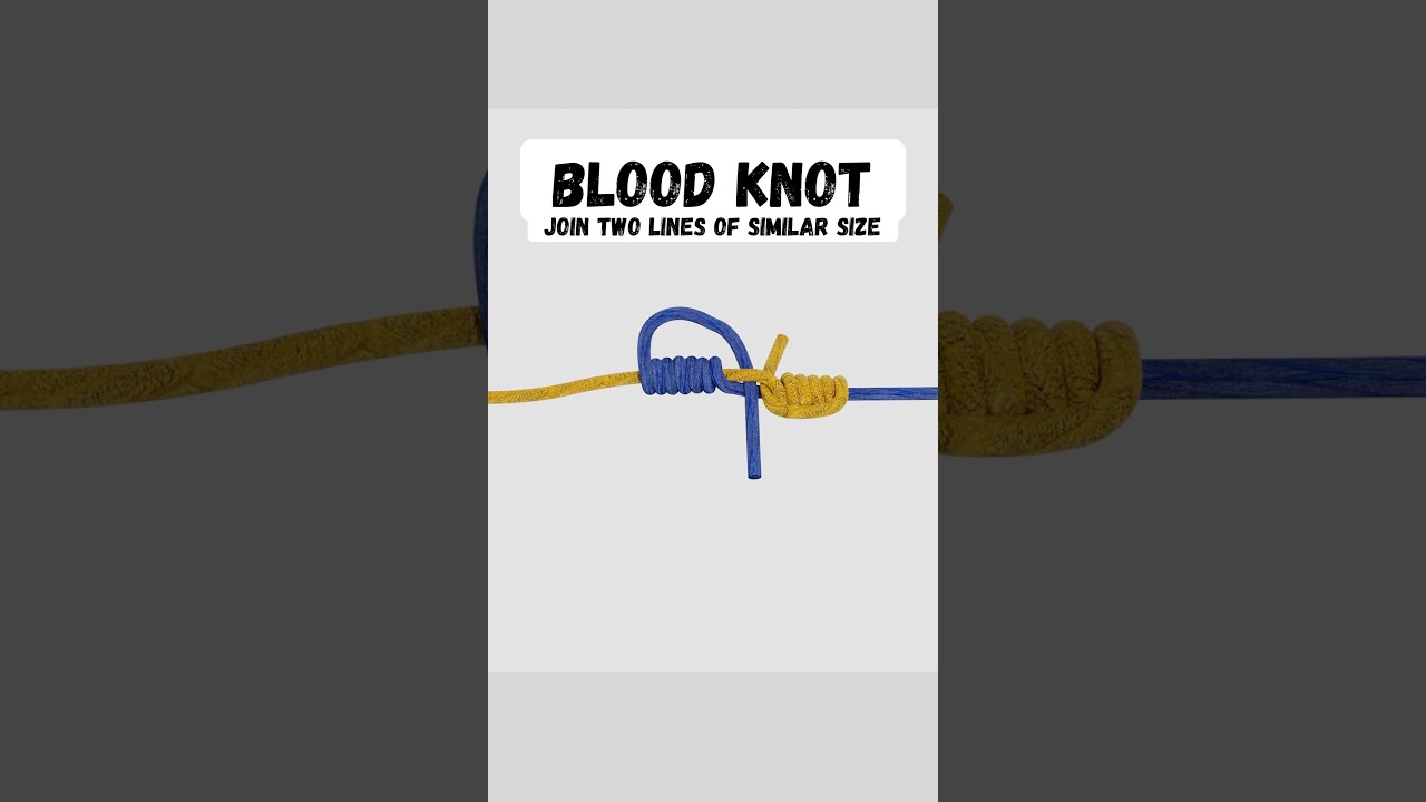Blood Knot - tie line to line #knot #fishingtips #fishing