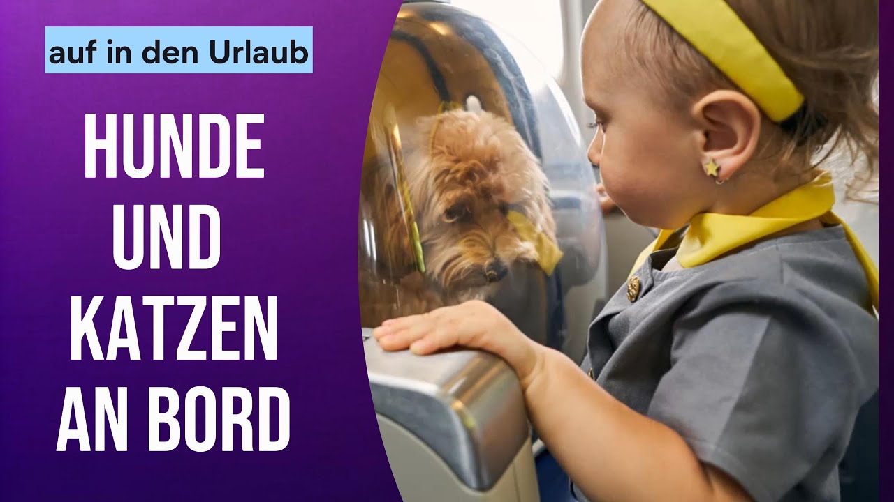 Hunde und Katzen an Bord - viel Spa&szlig; im Urlaub 2025-02