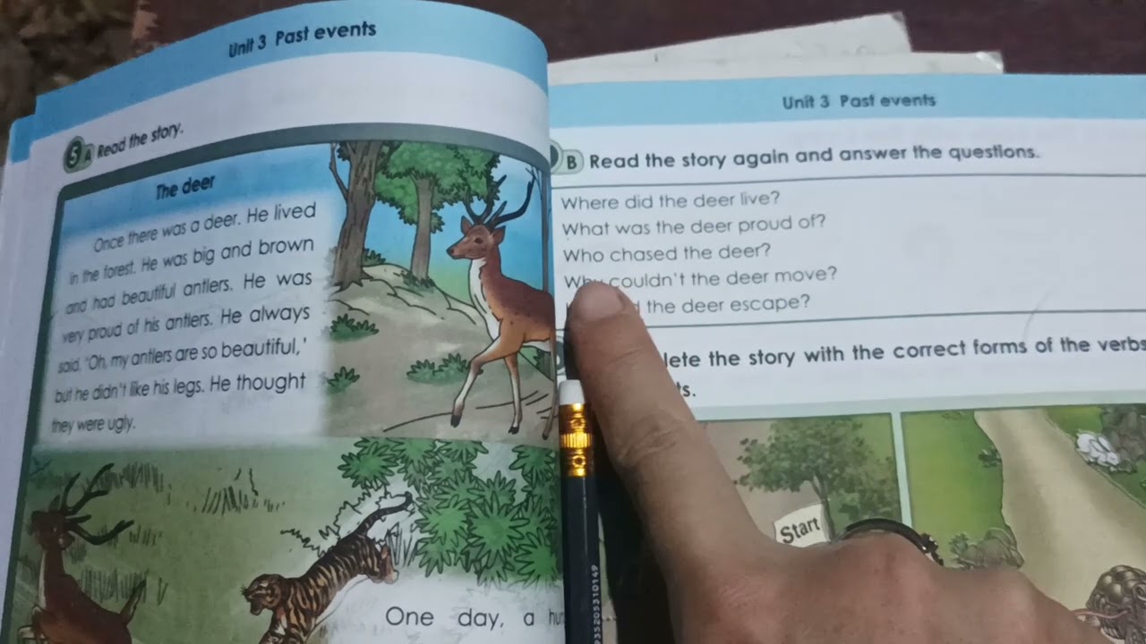 Grade 5 English, Unit 3 past events,The deer , 5B Answer the questions