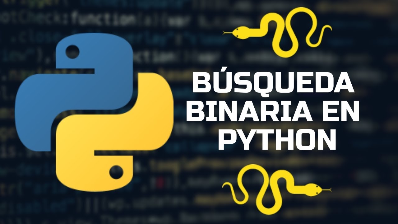 Búsqueda binaria en Python 🐍🖥️