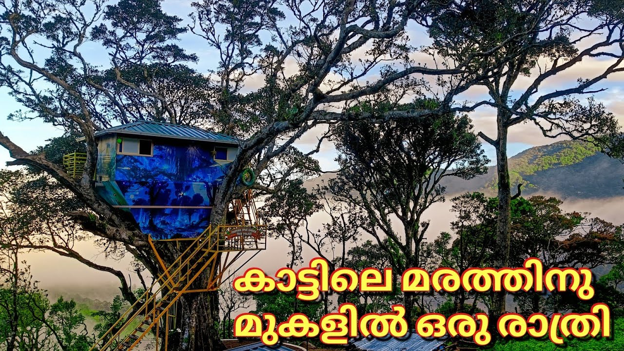 കാടിനുള്ളിലെ ട്രീ ഹൗസ് | Tree Palace Tree House Pooppara Part-1 | DotGreen