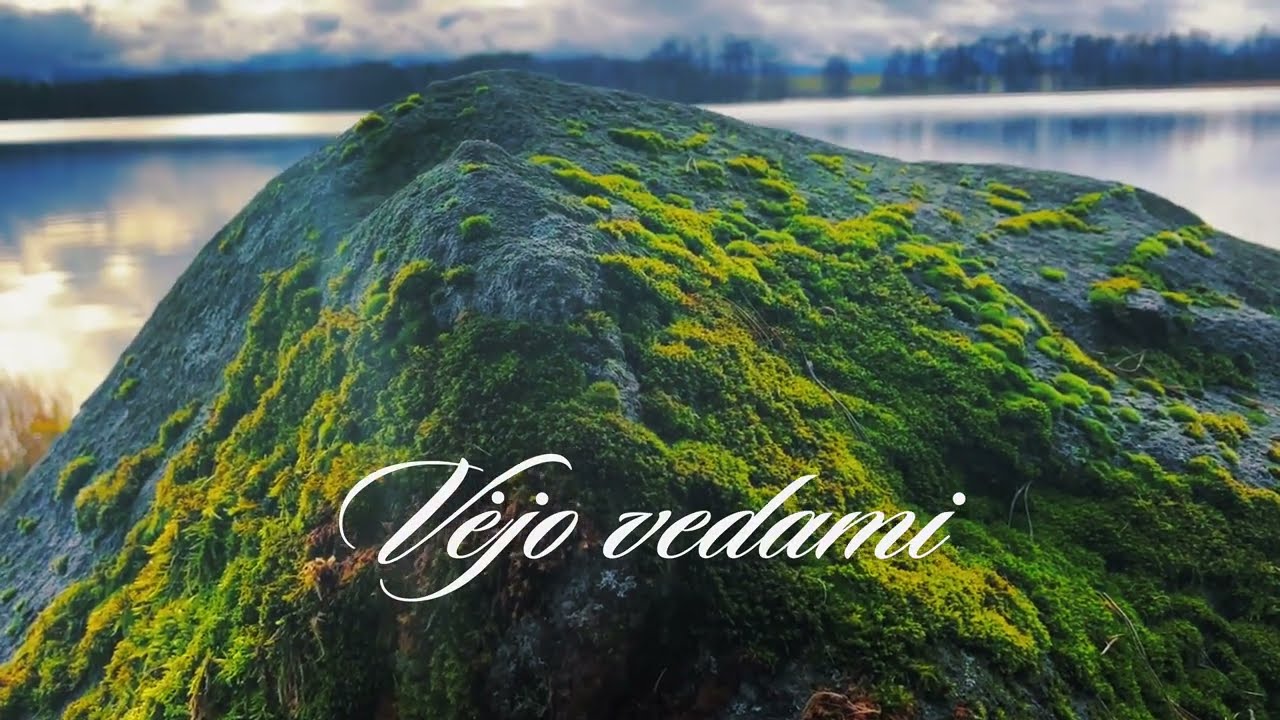 Vėjo vedami