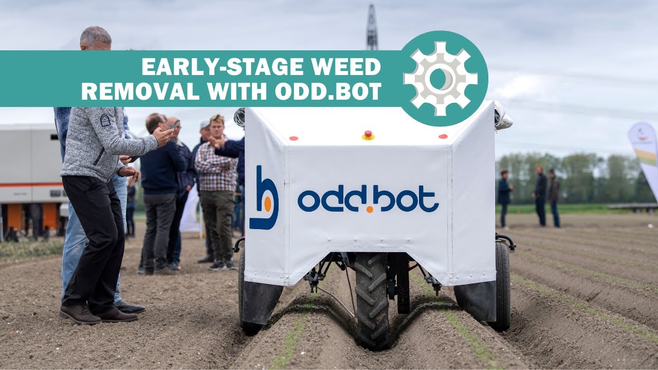 Early-stage weed removal with Odd.bot