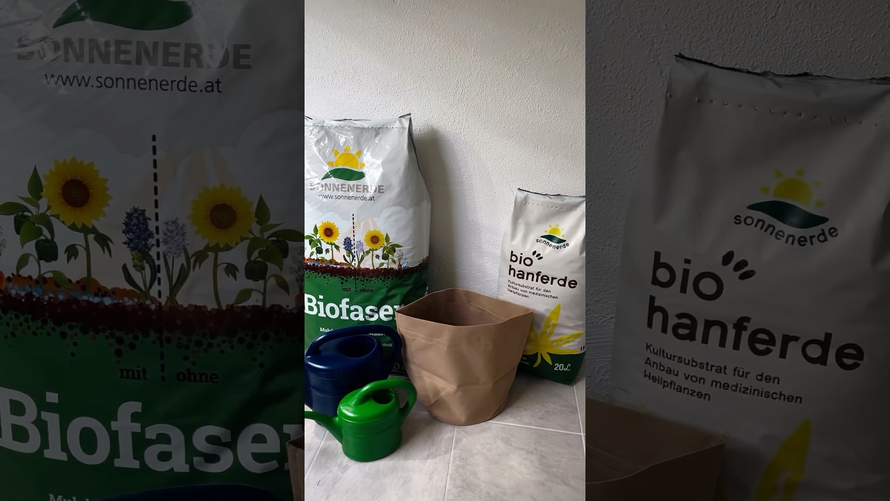 🌱 Die Hanfpflanze liebt nicht nur Wasser &ndash; DAS brauchst du auch! 👀