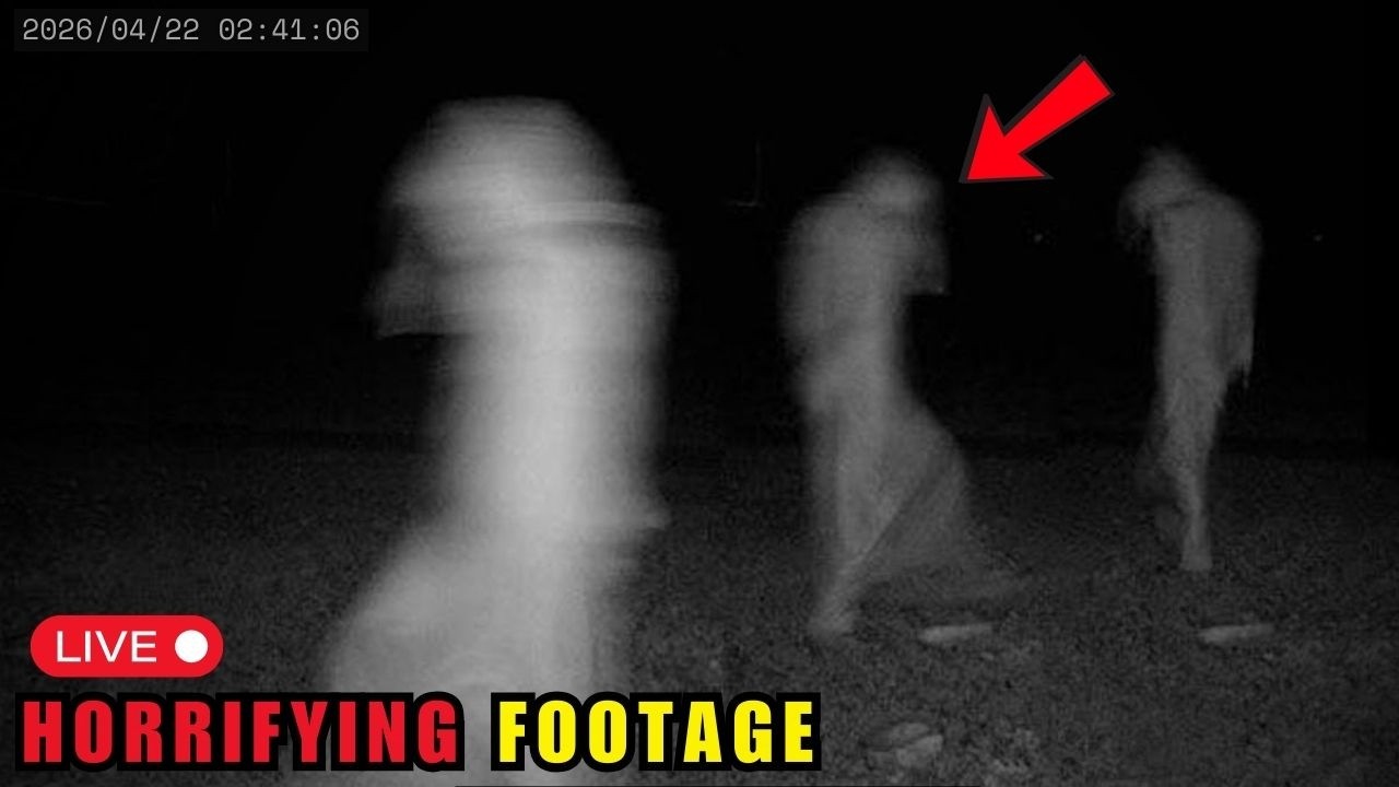 2 Hours of Most DISTURBING Video Encounters Caught on Camera