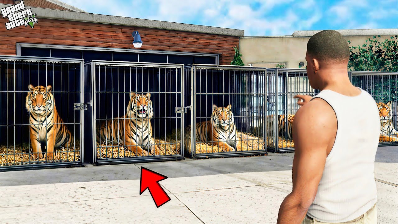 Franklin Saving All Rare Tigers Of Los Santos|| Gta 5