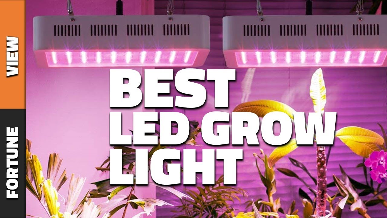 Best LED Growlights 2021