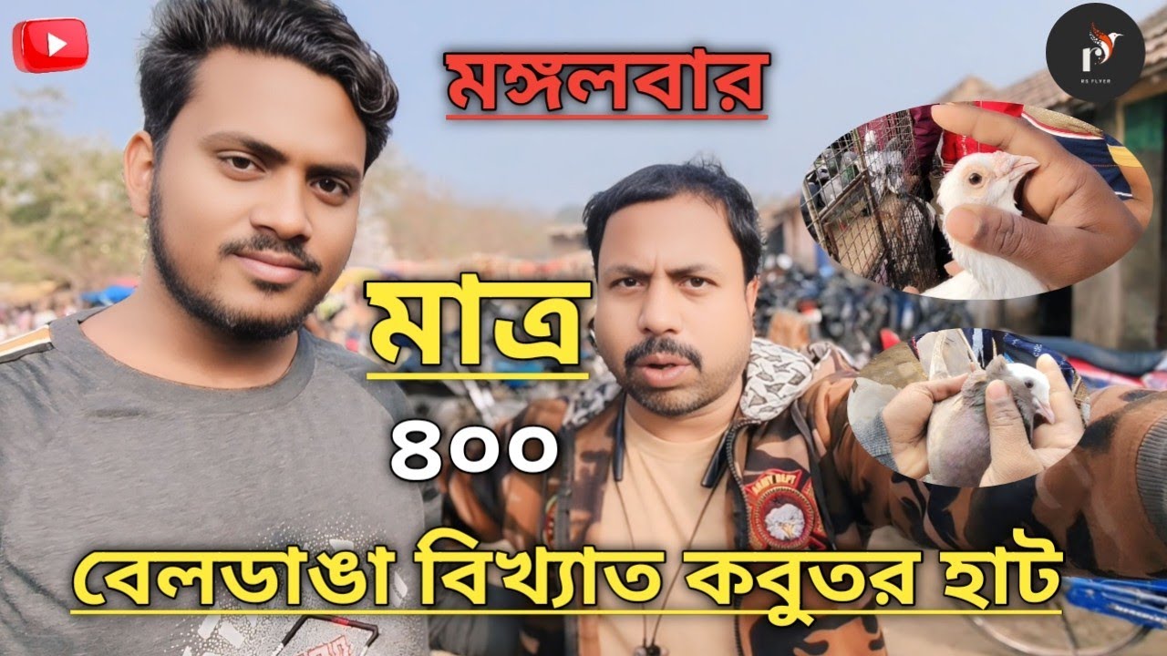 ২০২৪ শেষ ভিডিও বেলডাঙ্গা বিখ্যাত কবুতর হাট 2024 Last Video Beldanga Famous Pigeon Hut