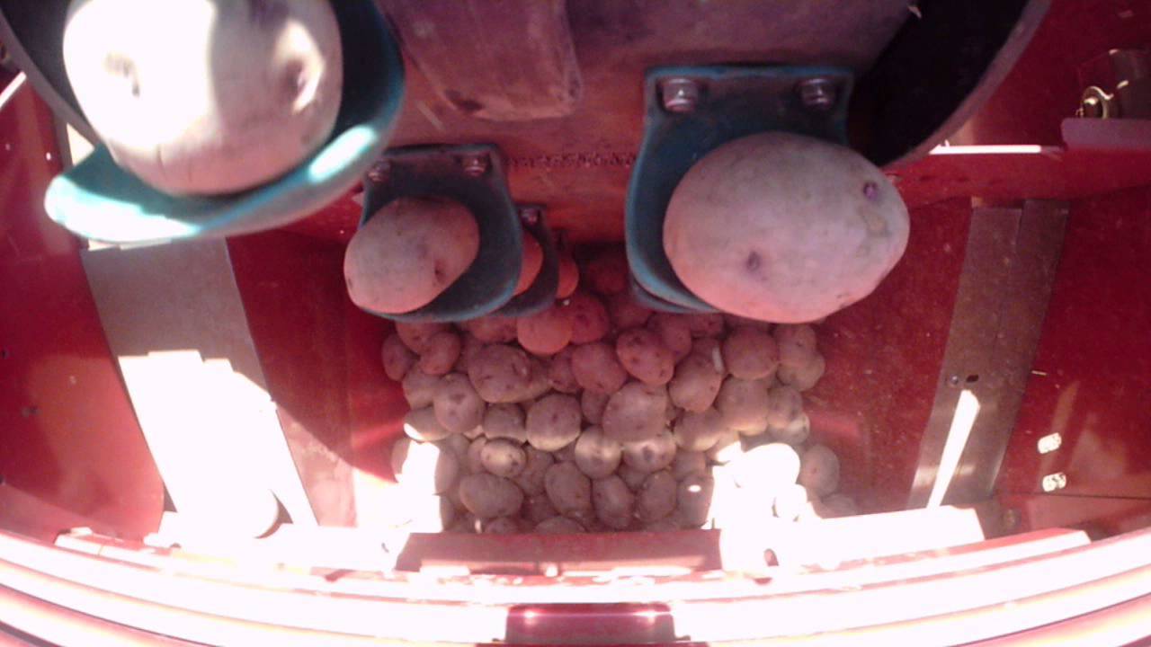 SEMBRADORA DE PAPAS GRIMME GL 32F