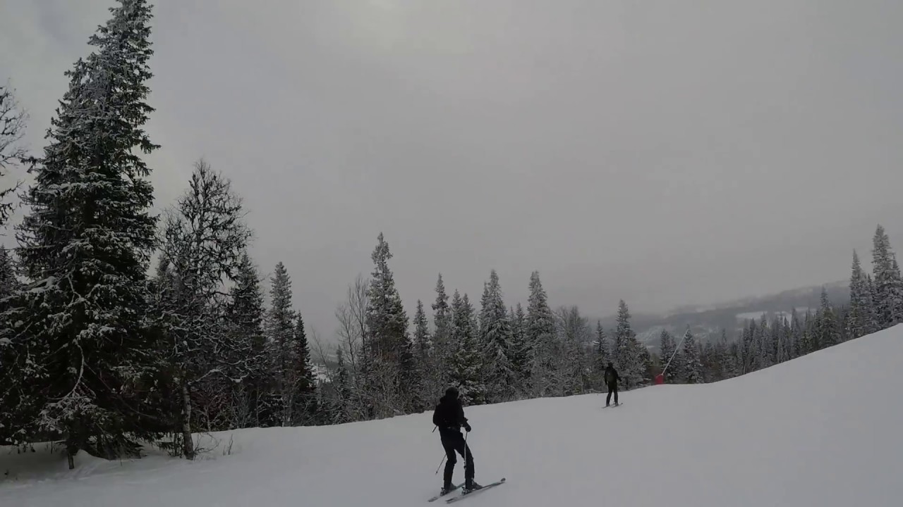 Åre by mot björnen