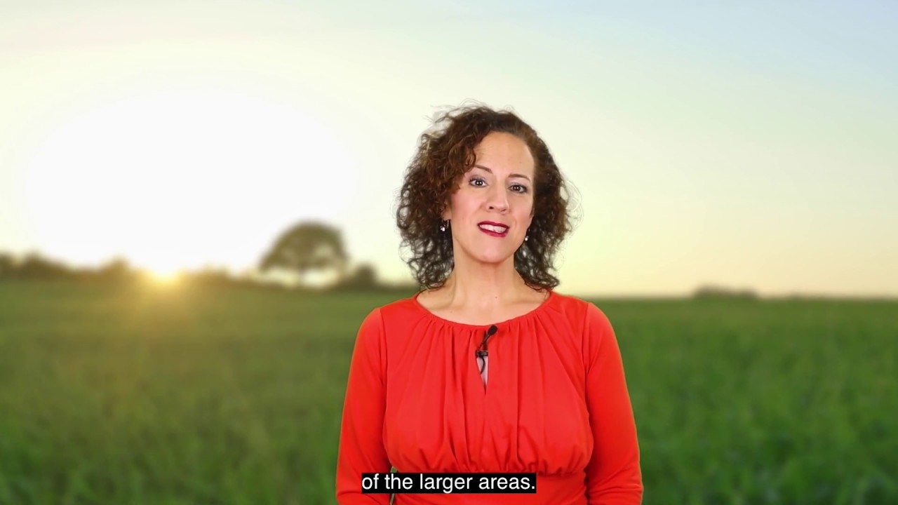 Minooka IL Community Video