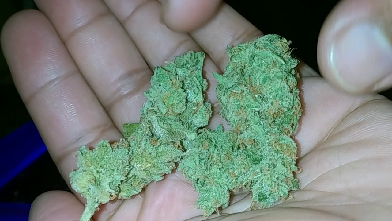 Lemon Squeeze By Packwoods