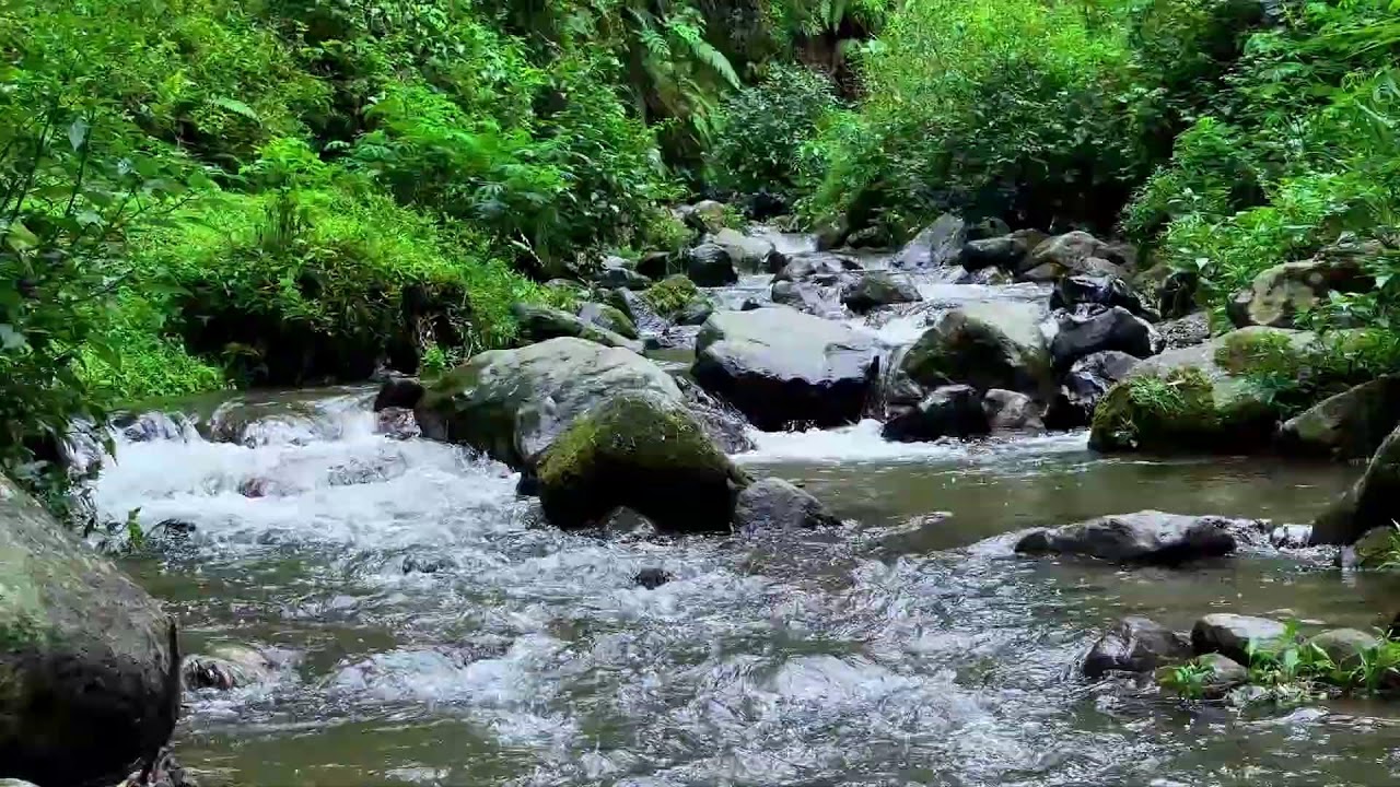 Natural river sound beneath relaxing twilight trees giving calmer deeper deep sleep until daylight