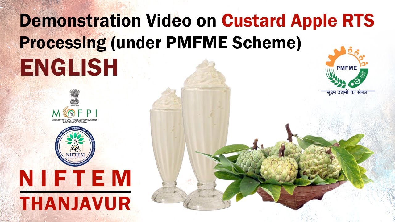 Demonstration Video on Custard Apple RTS Processing (under PMFME Scheme) - ENGLISH