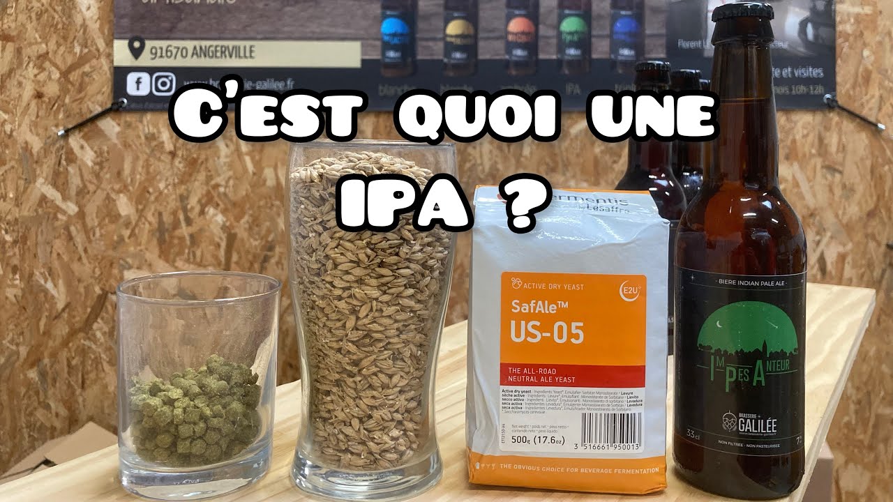 Comprendre l'IPA : Tout ce que vous devez savoir #Ipa #biere #hop #houblon