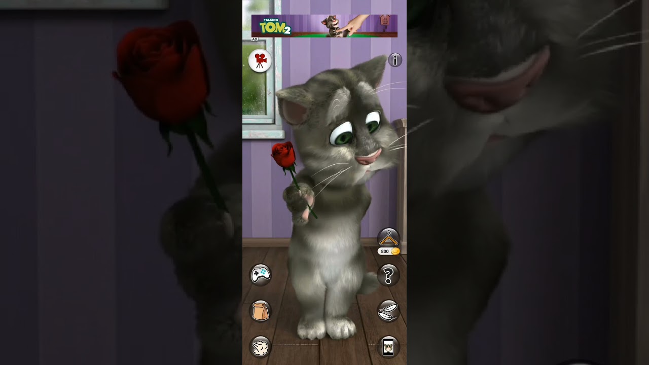 Talking tom cat with Vk short video 