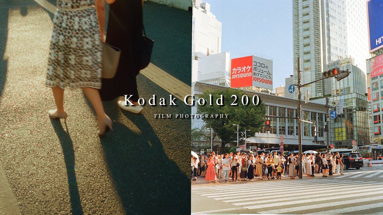 【フィルムカメラ】ハッセルブラッドと東京【Hasselblad 500C/M】