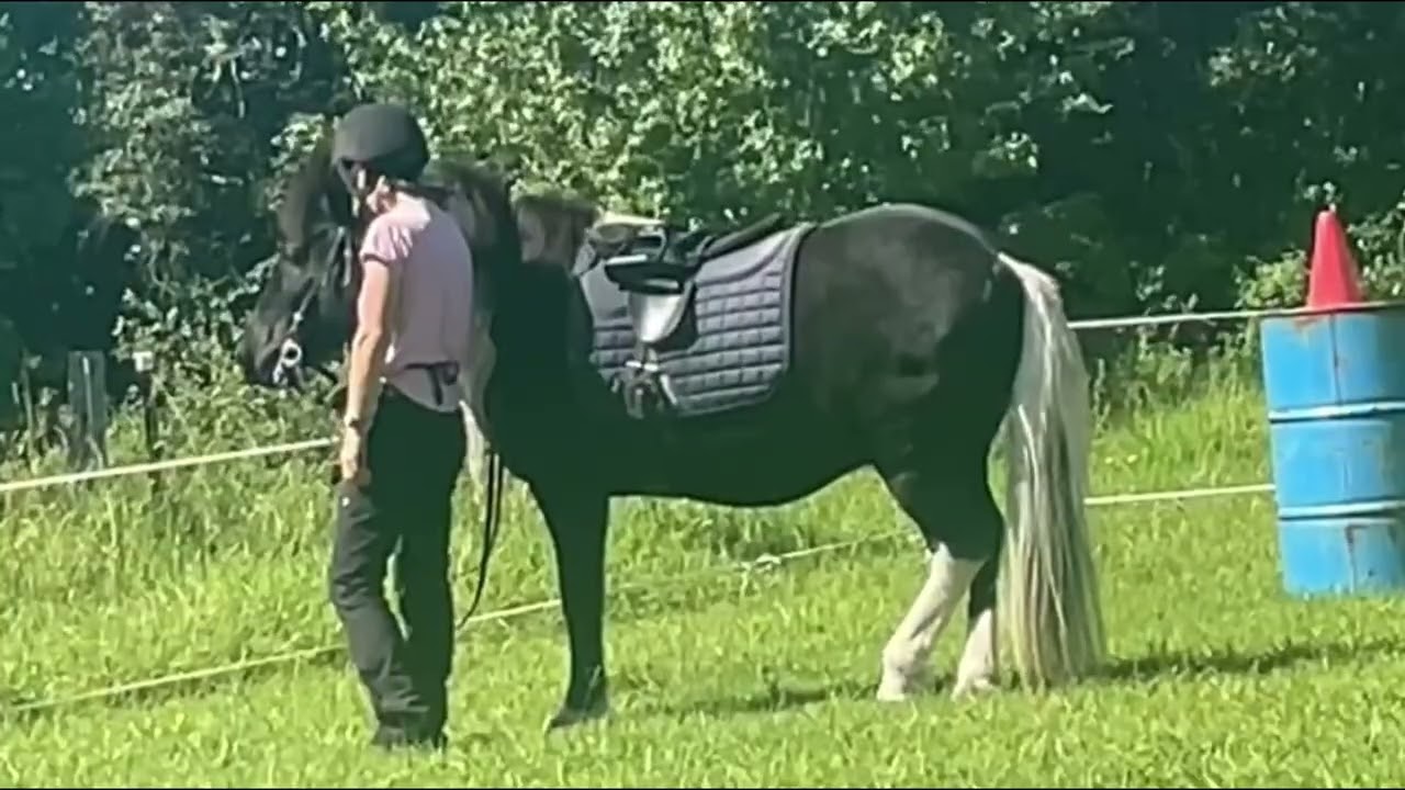 What to do if your horse doesn't want to move
