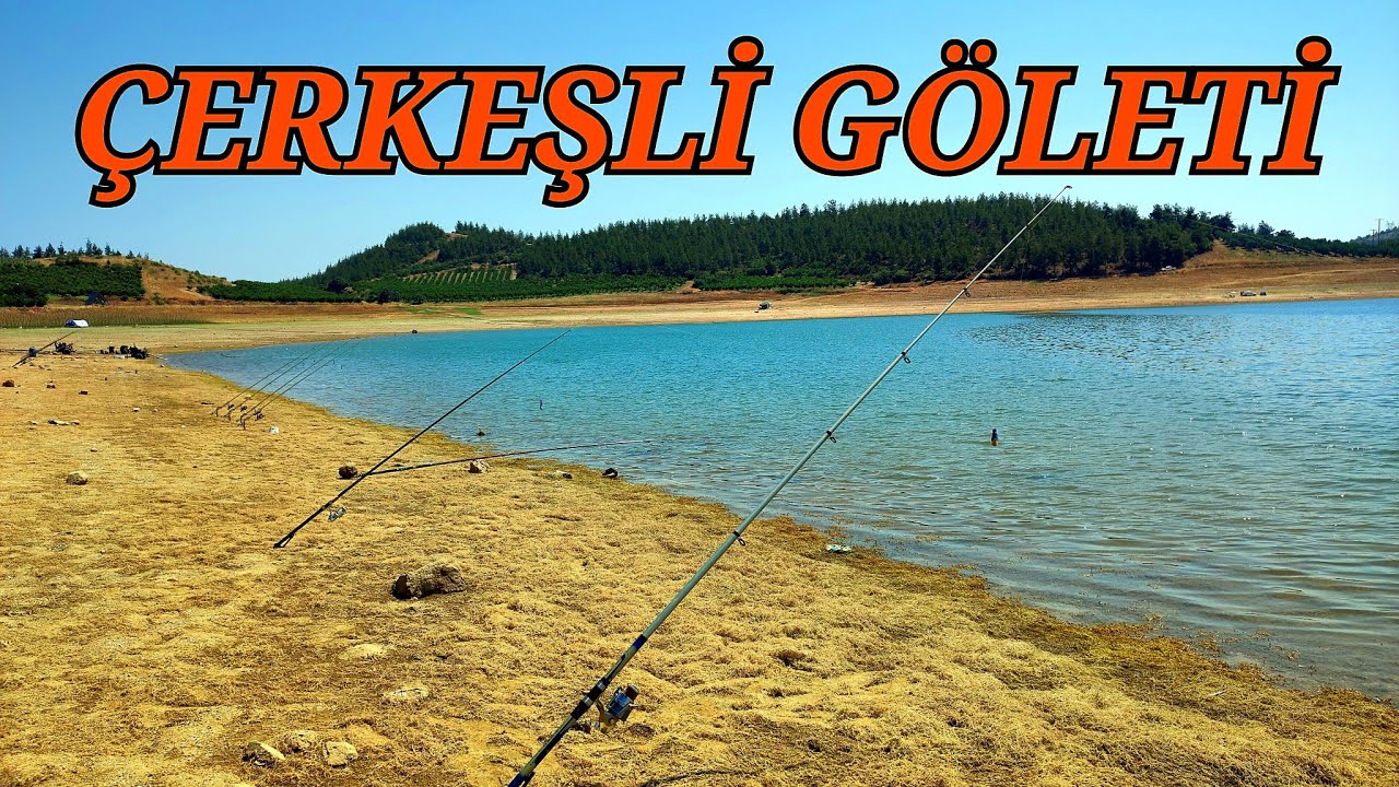 SAKARYA NEHRİNE NİYET ÇERKEŞLİ GÖLETİNE KISMET#oltabalıkçılığı #fishing #doğa #carp