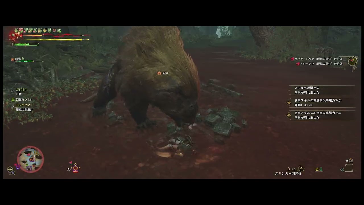 【初見】痺れる森の野獣 #MHWilds #片手剣