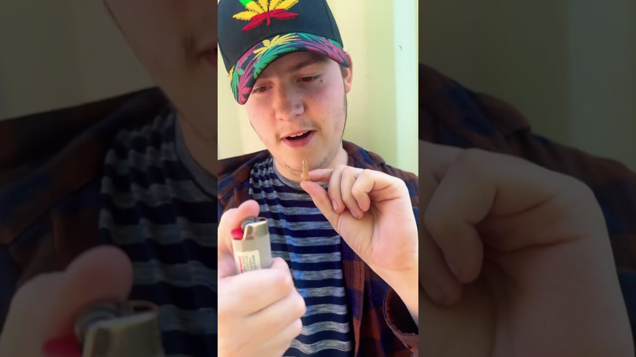 CannaBust (Weed Myths) - KEEF ONLY JOINT